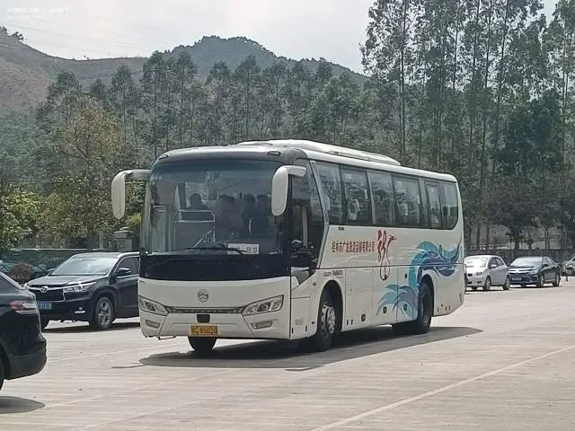 桂C.85038