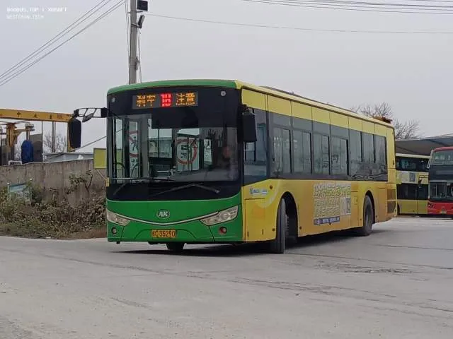 桂C.35290