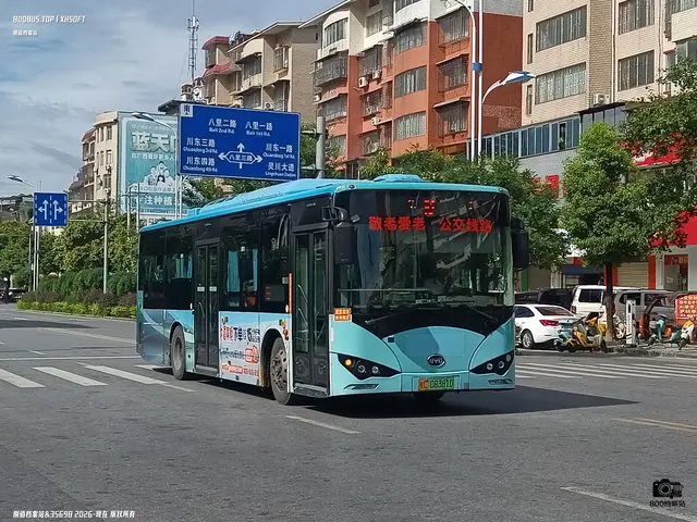 800BUS