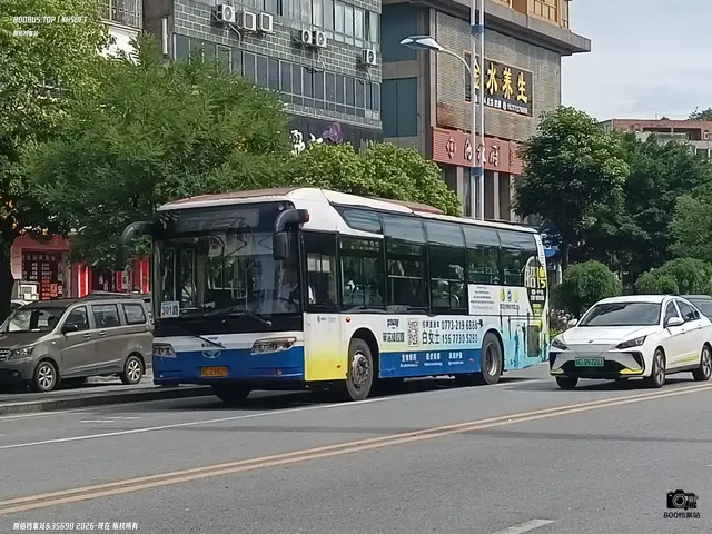800BUS