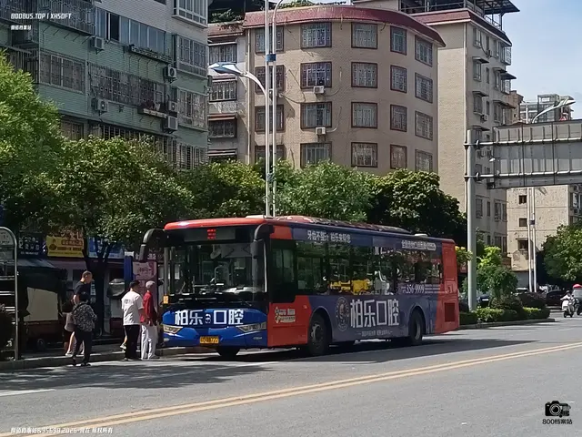 800BUS