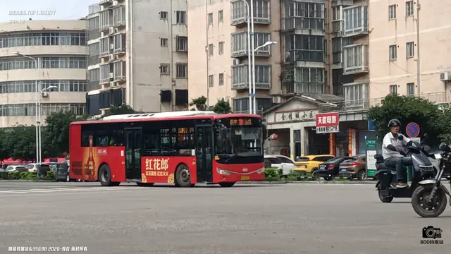 800BUS