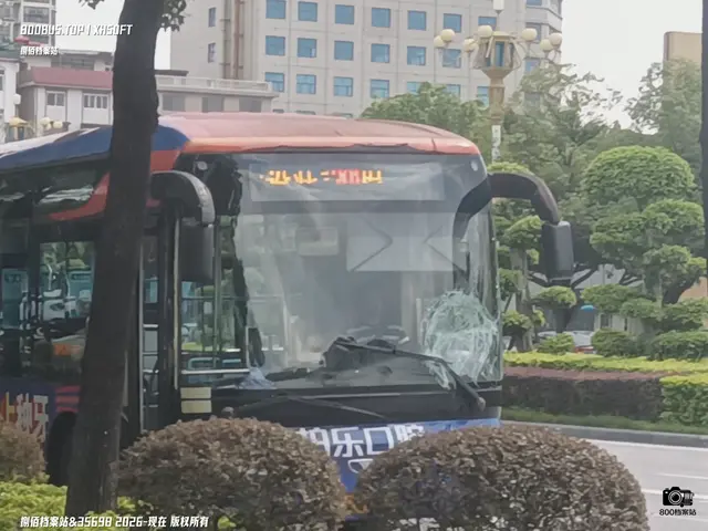 桂C 29816