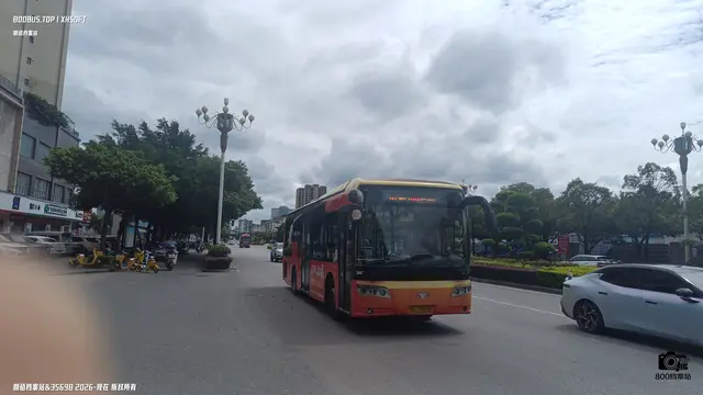 桂C 29805
