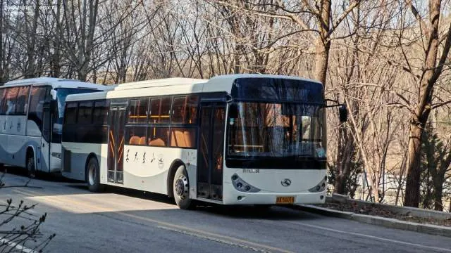 56018