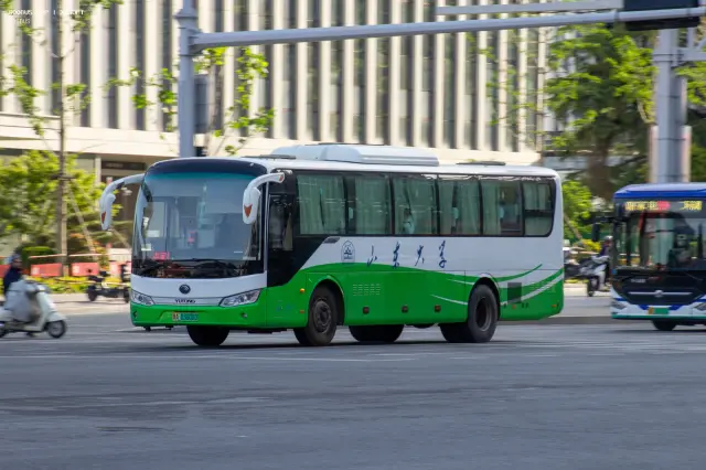 800BUS