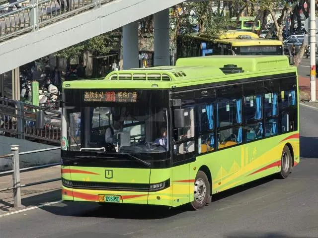 琼A 09695D