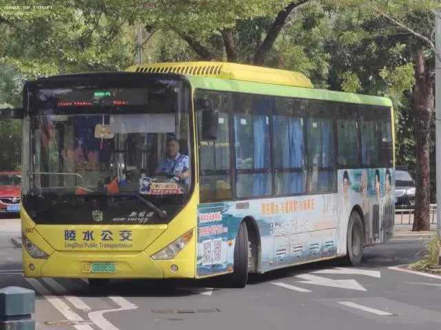 琼D 08865D