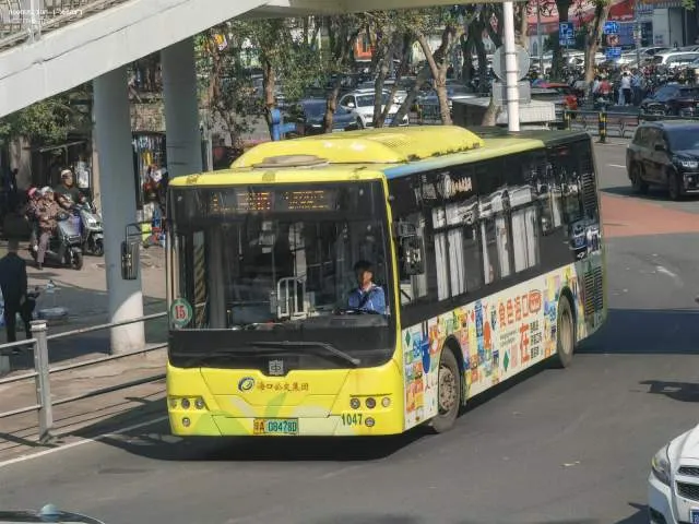 琼A 08478D