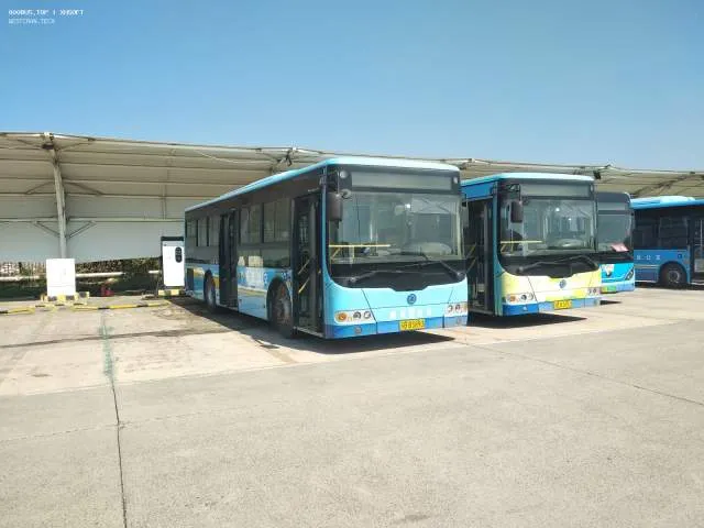 苏B B3893