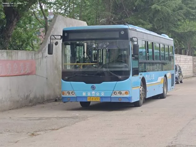 苏B B3893