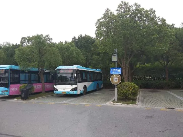 苏K 35981