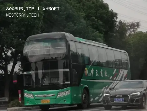 800BUS