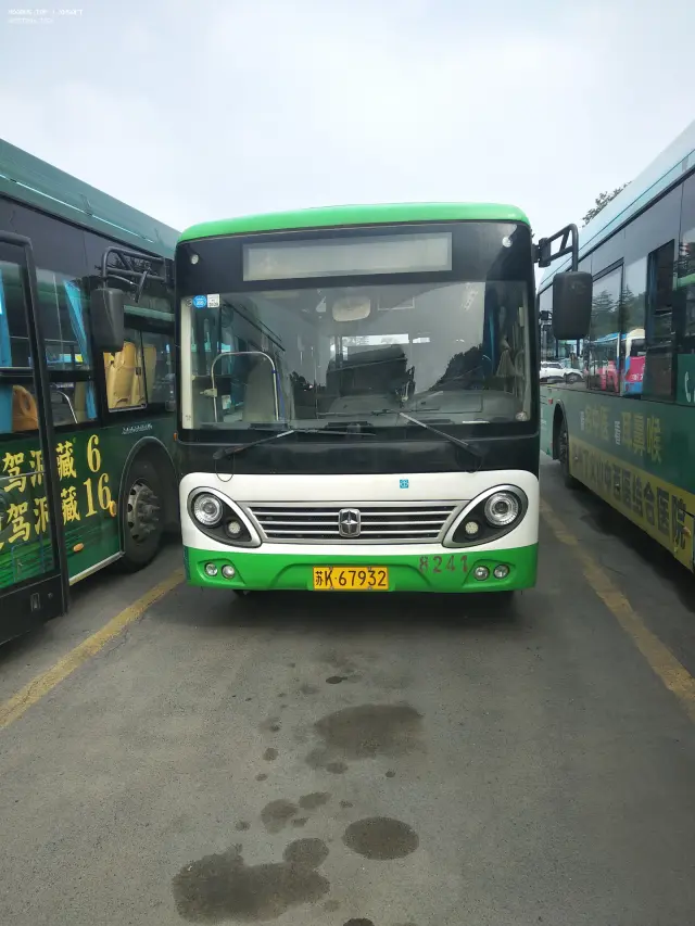 800BUS
