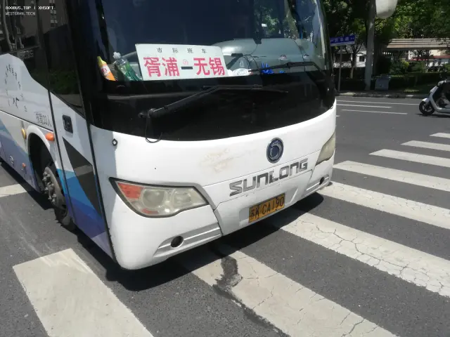 800BUS