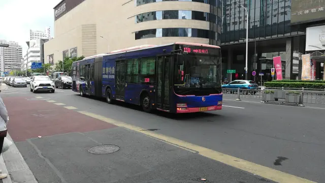 800BUS