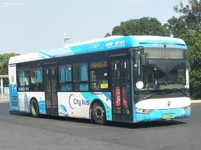 800BUS