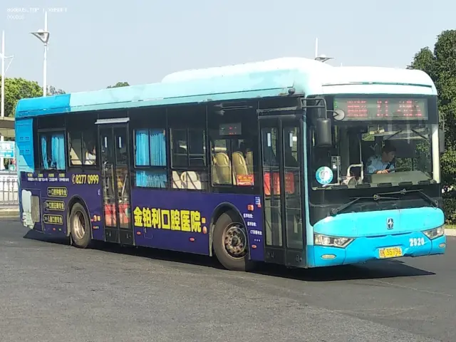 800BUS