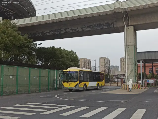 沪A 06122D