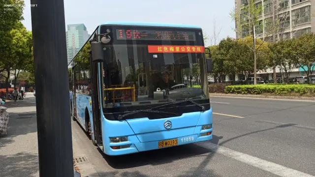 800BUS