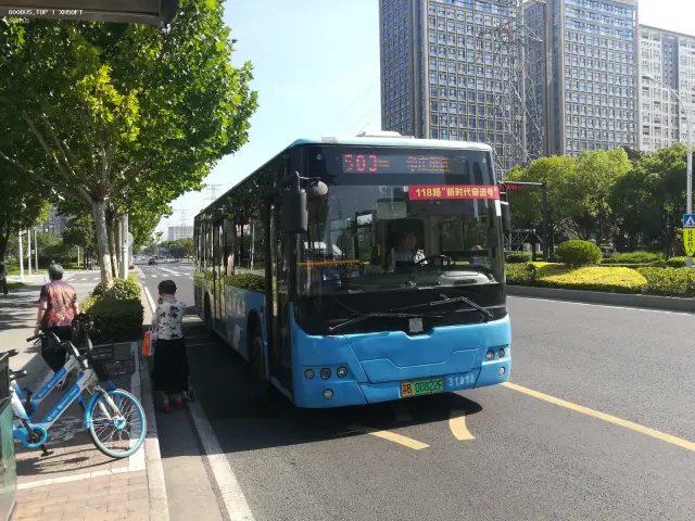 800BUS