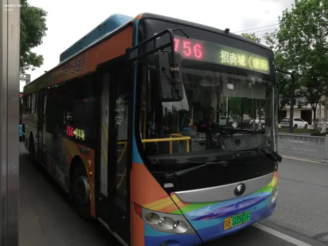 800BUS