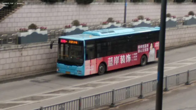 800BUS