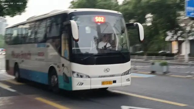 800BUS
