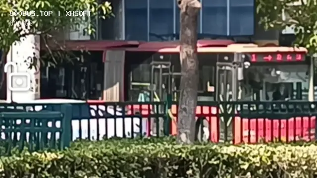 800BUS