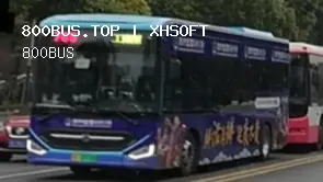 800BUS