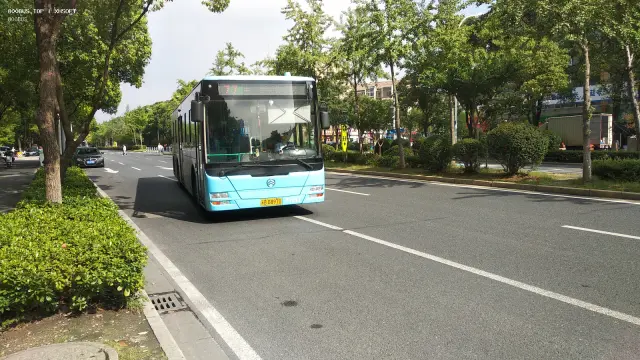 800BUS
