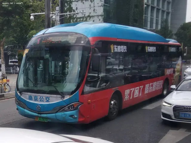 800BUS