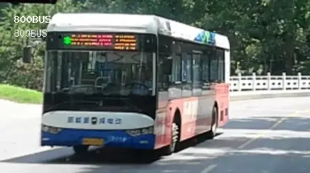 800BUS