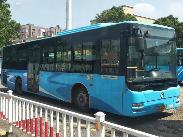 800BUS