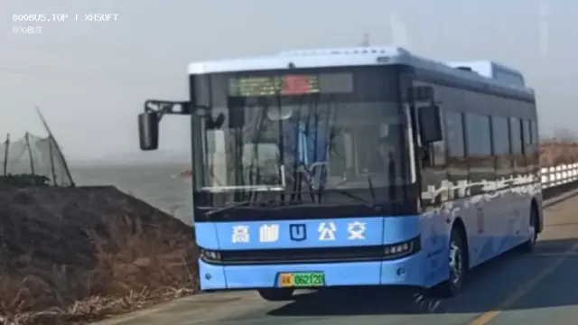 800BUS
