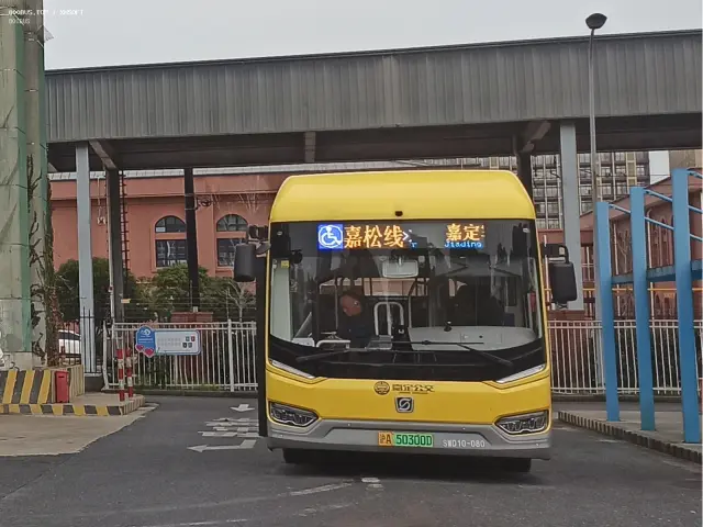 800BUS