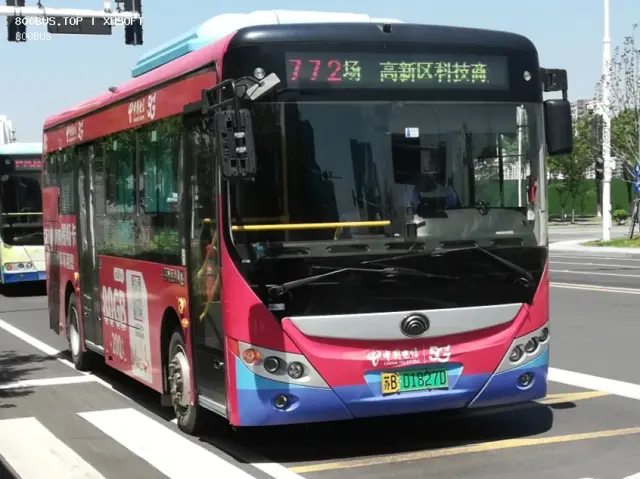 800BUS