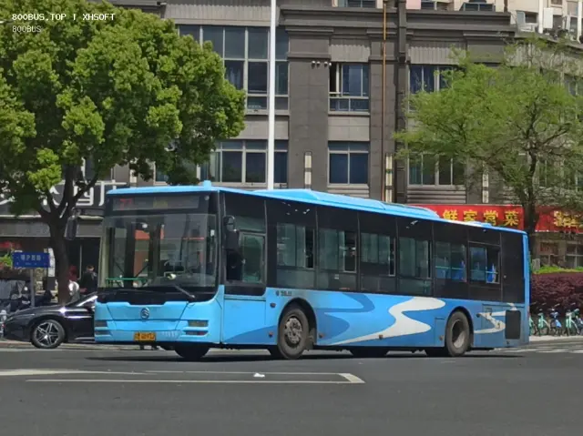 800BUS