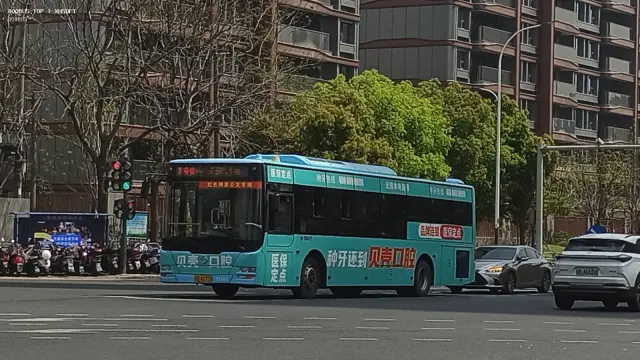 800BUS