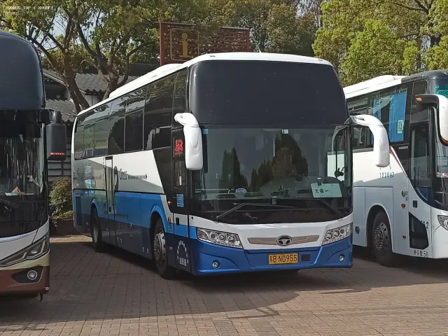 800BUS