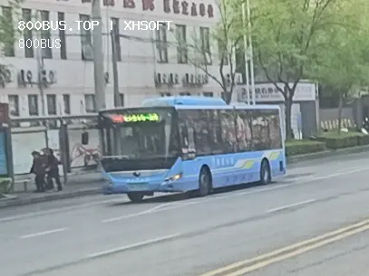 800BUS