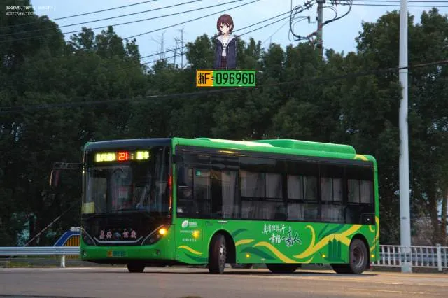 浙F 09318D