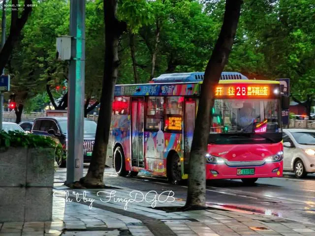 粤S 13193D