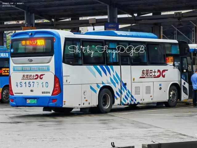 粤S 15771D