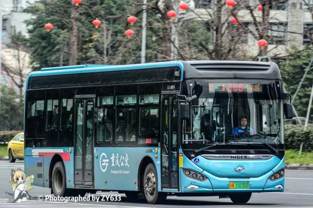 渝A 15230D