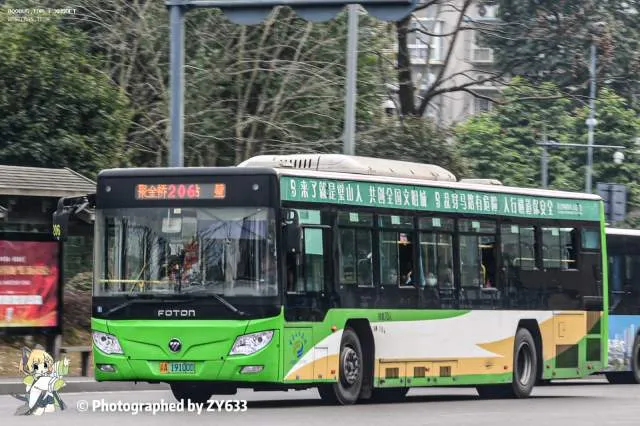 渝A 19100D
