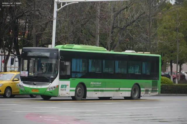 苏A J8953