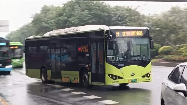 粤T·06026D