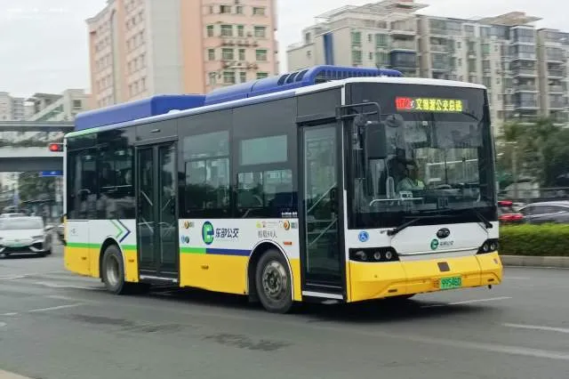 粤B·99546D