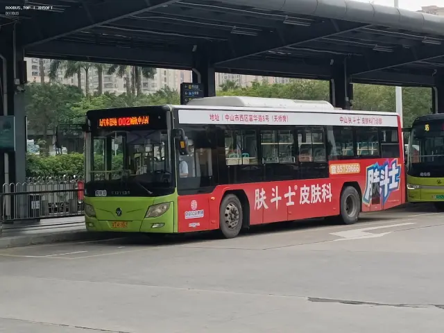 粤T·41862